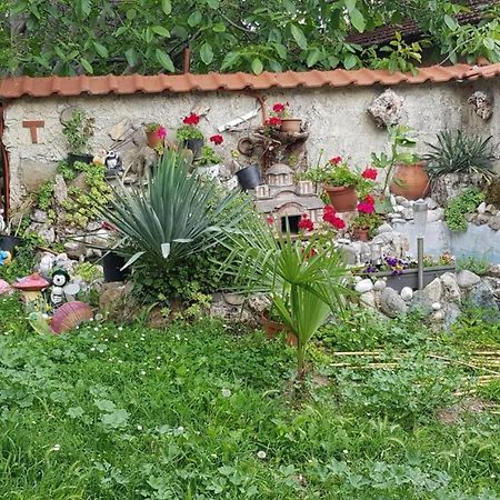 Vila Teodora Dojran Zewnętrze zdjęcie