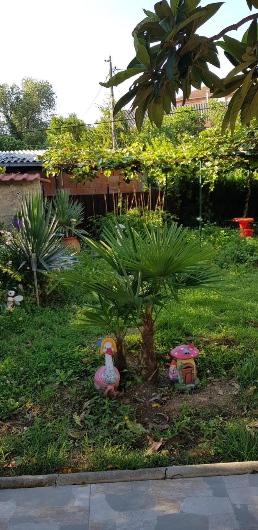 Vila Teodora Dojran Zewnętrze zdjęcie
