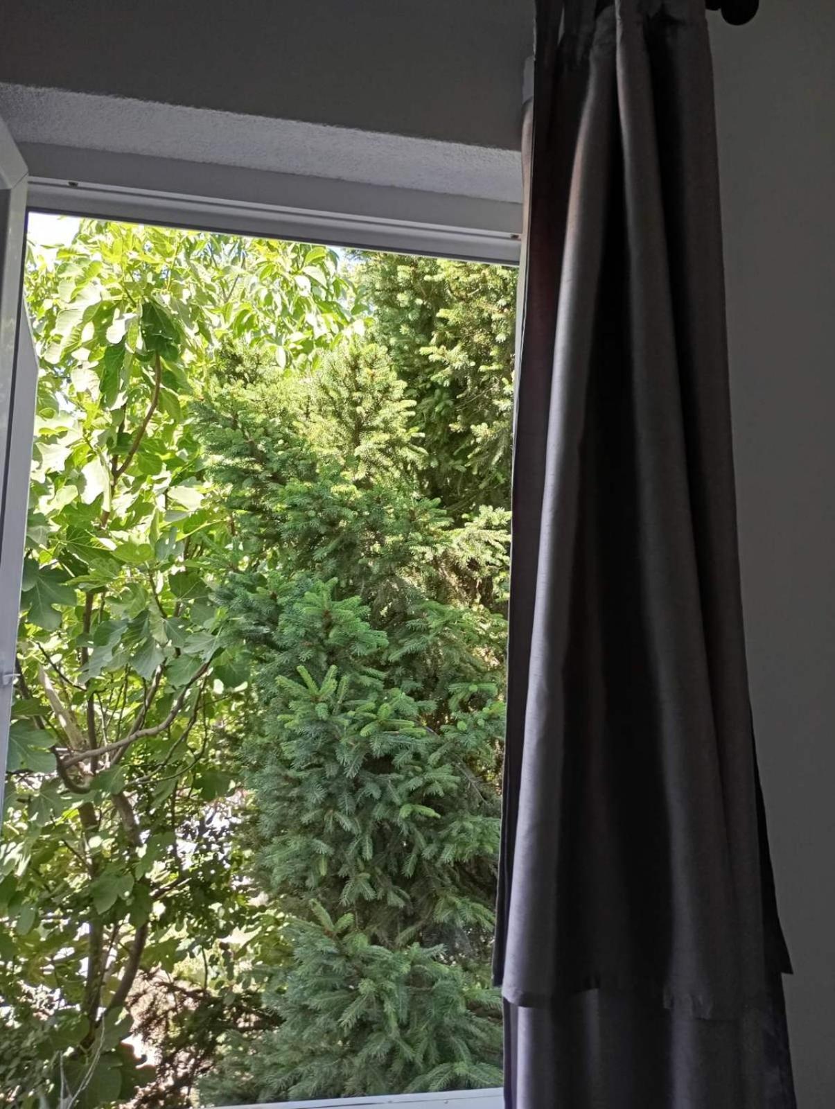 Vila Teodora Dojran Zewnętrze zdjęcie